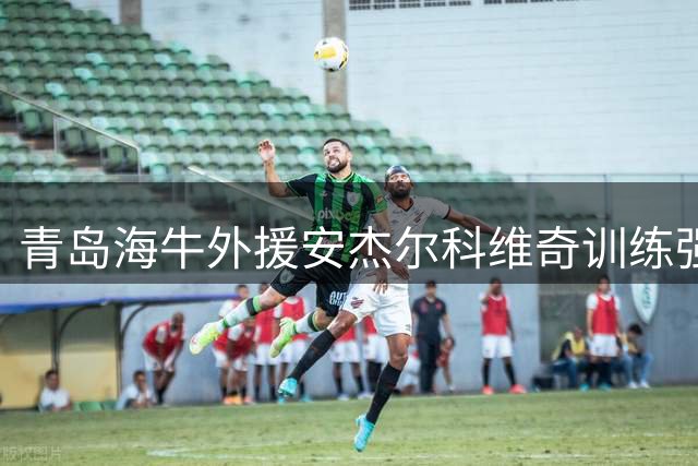 青岛海牛外援安杰尔科维奇训练强度下滑引关注